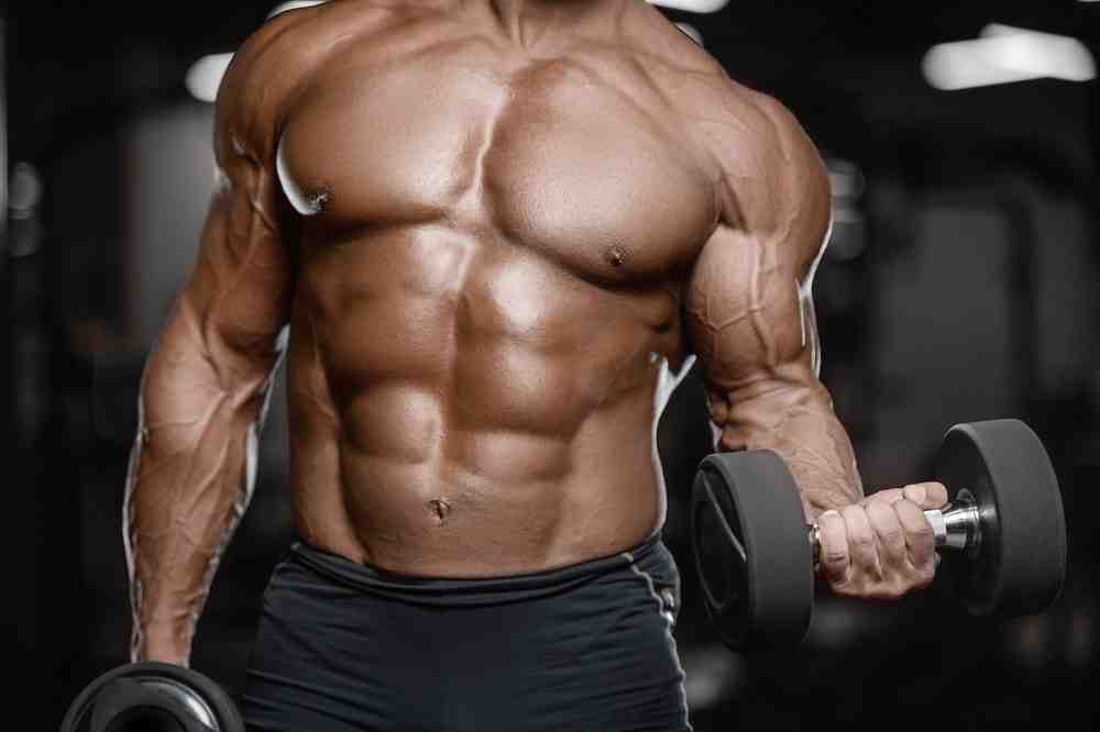 Comment gagner rapidement de la masse musculaire?