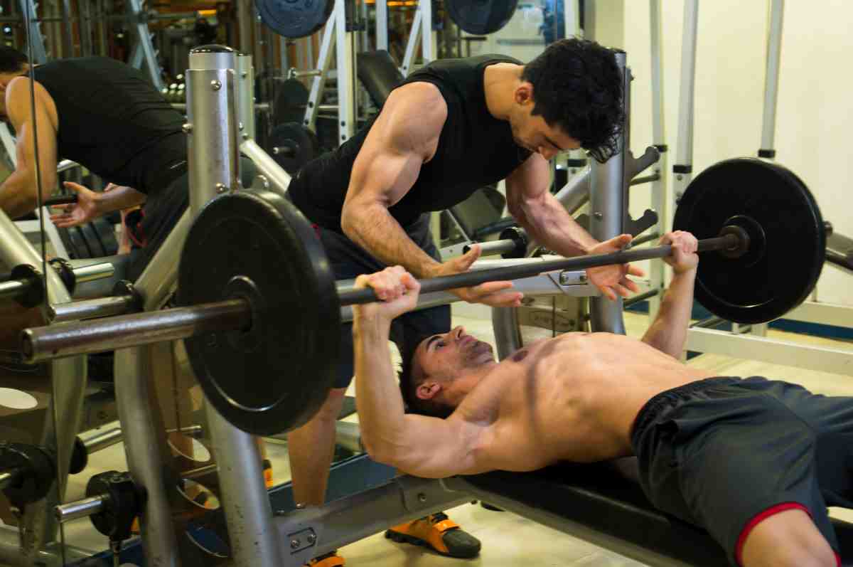 Quels sont les exercices de musculation?
